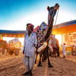 Delhi and Rajasthan Tour Packages
